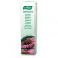 Echinacea toothpaste 100gr (Φυτική οδοντόπαστα από φρέσκια εχινάκια για ουλίτιδα_ αιμορραγία_ ατροφία)*