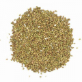 Φαγόπυρο σπόρος - Μαυροσίταρο (Χωρίς γλουτένη) (Βιολογικό)