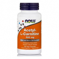 ACETYL L-CARNITINE 500 mg - 50 Vcaps®