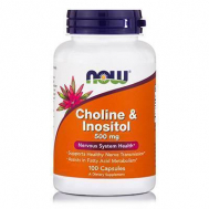 CHOLINE & INOSITOL 250/250 mg - 100 Caps