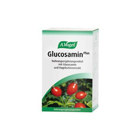 Glucosamine plus 60 caps (Γλυκοζαμίνη μη ζωικής προέλευσης, ενισχυμένη με εκχύλισμα άγριας τριανταφυλλιάς)