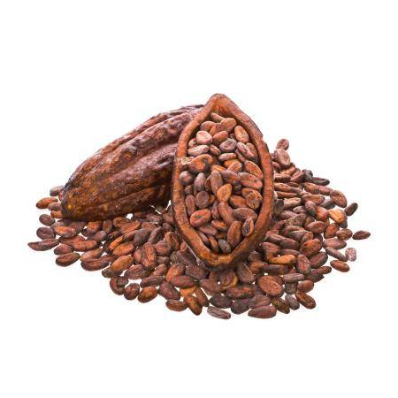 Cacao Beans 2