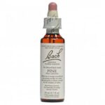Power Health Bach Pine 20ml